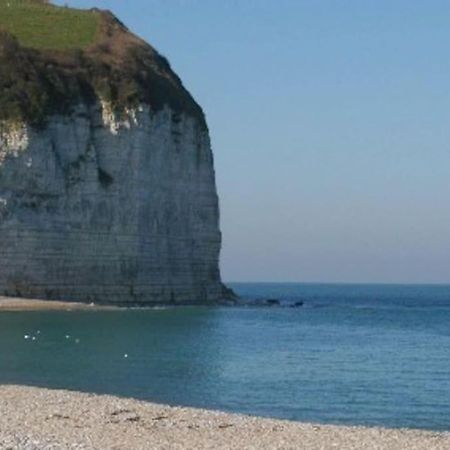 Bord De Mer : Charmante Maison De Pecheur 伊波尔 外观 照片