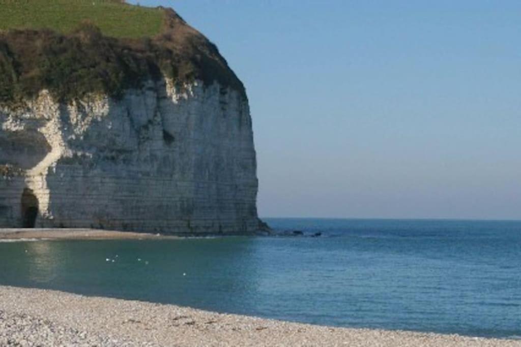 Bord De Mer : Charmante Maison De Pecheur 伊波尔 外观 照片